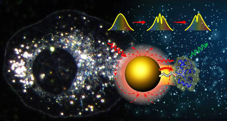 Plasmonic Nanoantenna